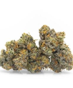 Buy Sativa Marijuana Flowers in Minnesota